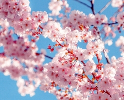 La primavera influisce sulla salute dei capelli