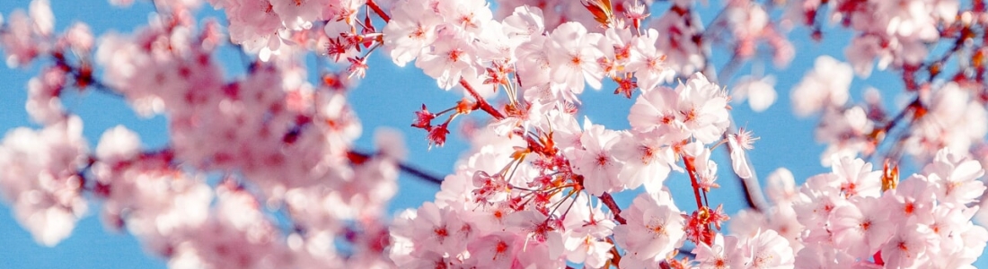 La primavera influisce sulla salute dei capelli